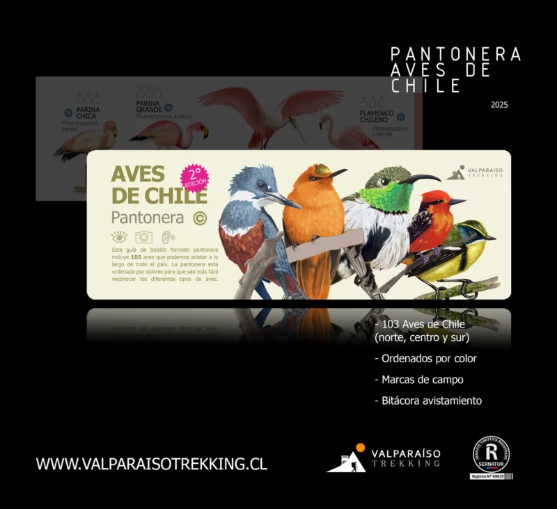 Pantonera Aves de Chile 2°EDICIÓN - Imagen 2