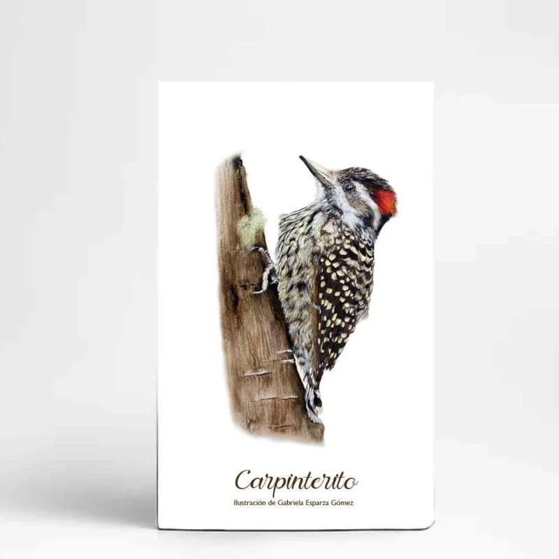CARPINTERITO - LIBRETA