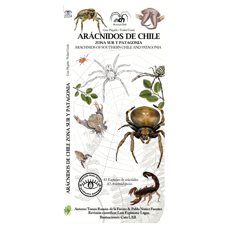 ARACNIDOS DE CHILE .ZONA SUR Y PATAGONIA
