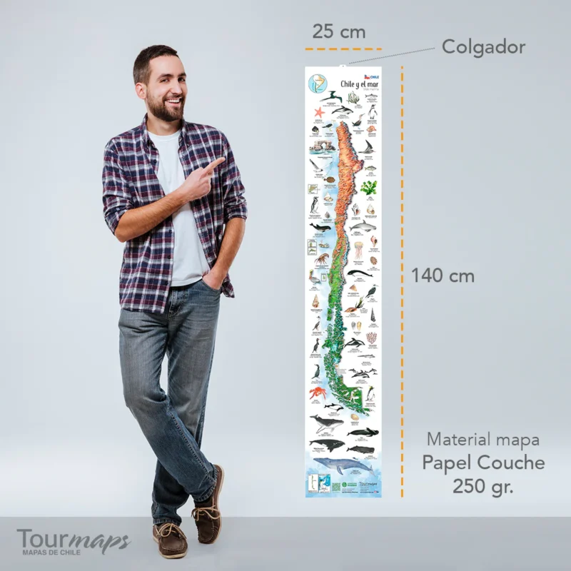 Mapa Chile y el mar - Imagen 3