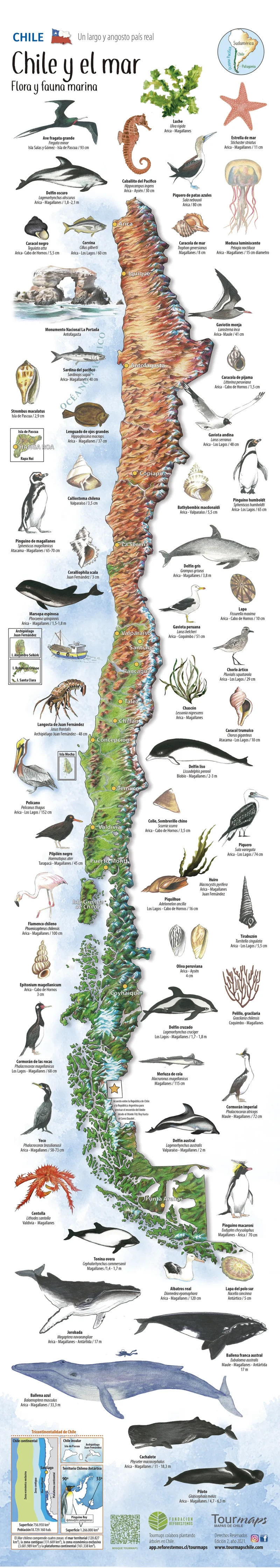 Mapa Chile y el mar - Imagen 2