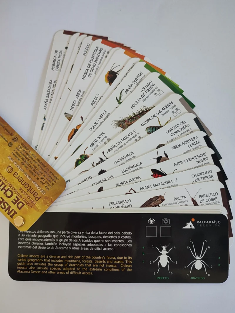 INSECTOS COMUNES DE CHILE CENTRAL – Geobooks- Libreria de Viajes, Flora